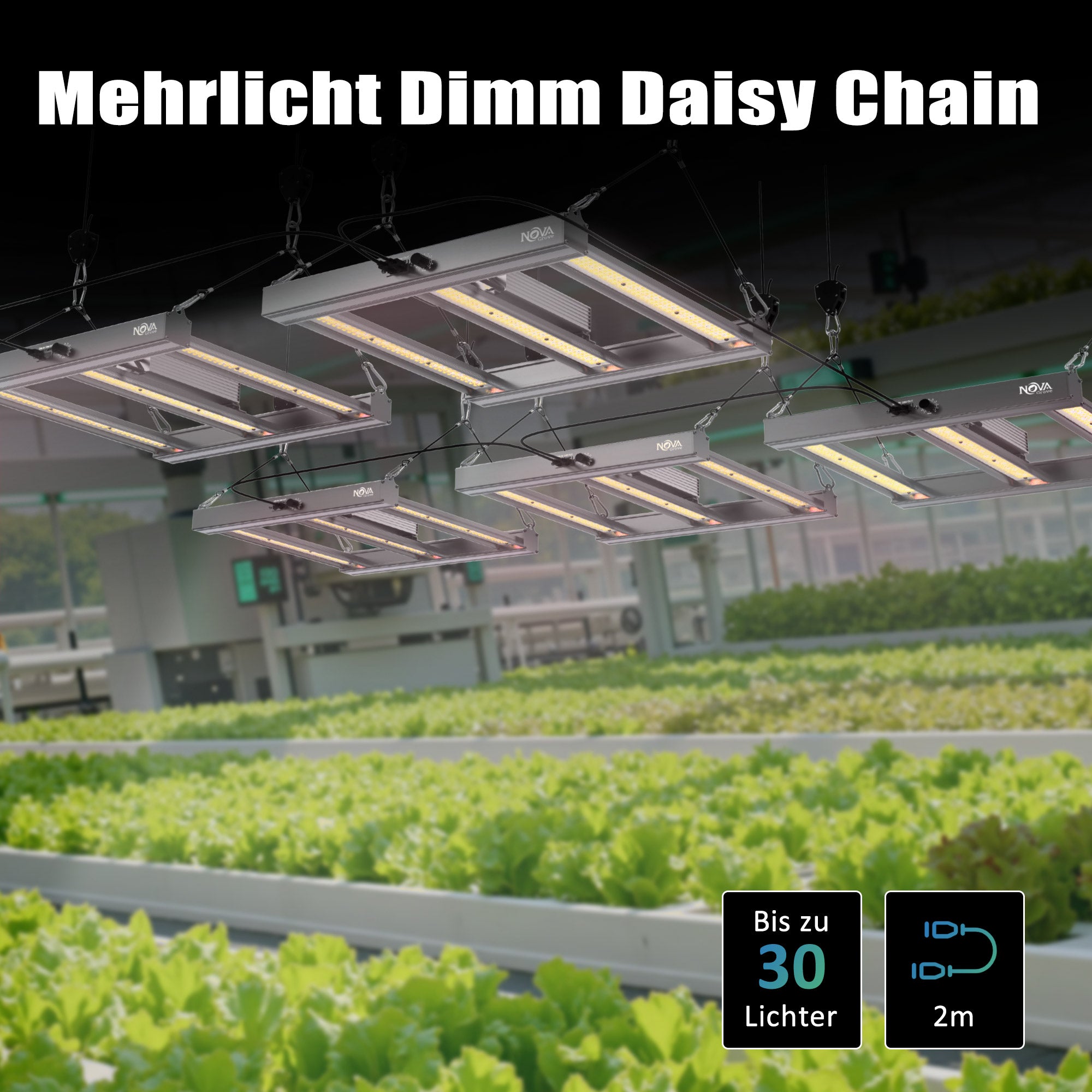 NovaGrove Pflanzenlampe LED Vollspektrum IR, 150W Grow Lampe für Growbox 60x60cm, Grow Light mit Dimmbar & Daisy Chain, PR15