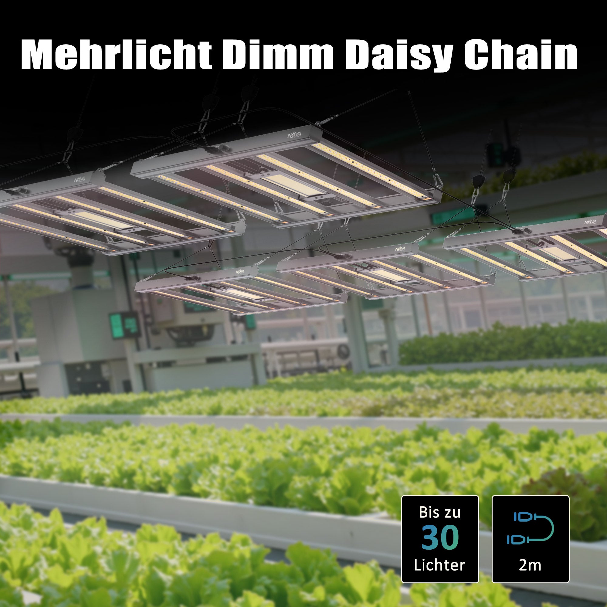 NovaGrove Pflanzenlampe LED Vollspektrum IR, 240W Grow Lampe für Growbox 90x90cm, Grow Light mit Dimmbar & Daisy Chain, PR24