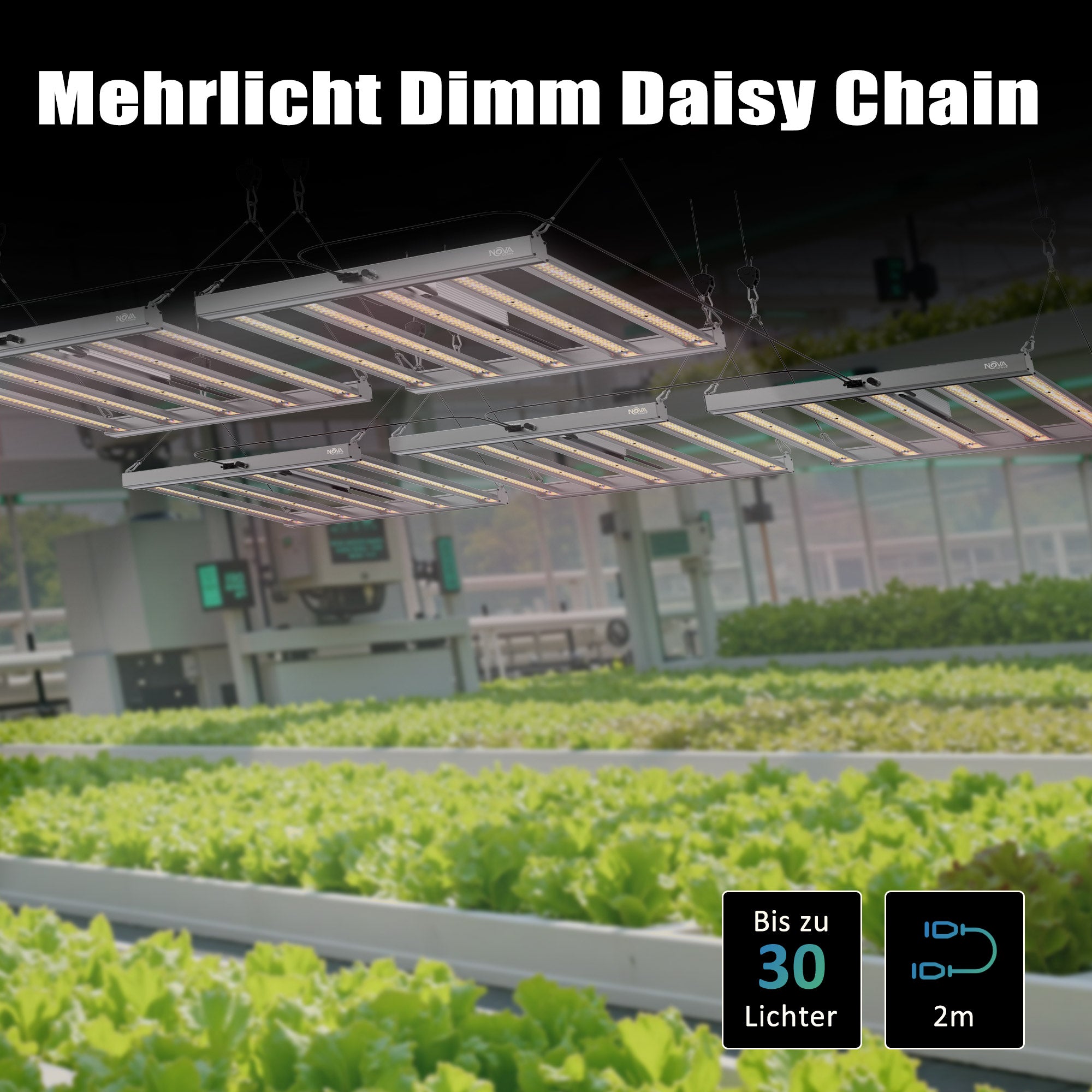 NovaGrove Pflanzenlampe LED Vollspektrum IR, 320W Grow Lampe für Growbox 90x90cm, Grow Light mit Dimmbar & Daisy Chain, PR32